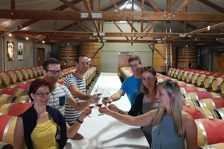 Shore Excursion Marlborough Wine Region Tour from Picton - Photo 1 of 9